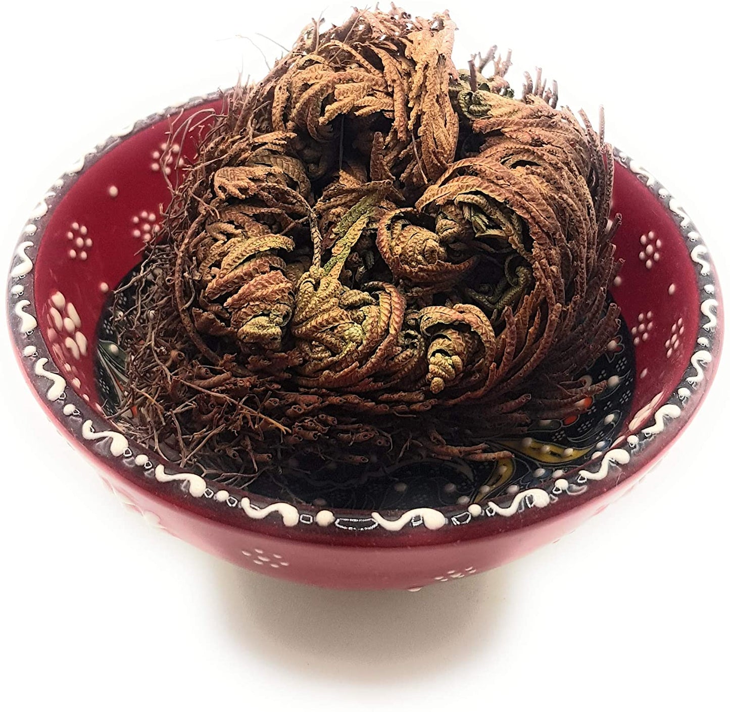 Rose von Jericho die Auferstehungspflanze perfektes Geschenk verschiedene Stückzahlen